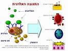 תמונות